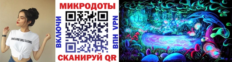 как найти наркотики  Шимановск  Псилоцибиновые грибы Cubensis 